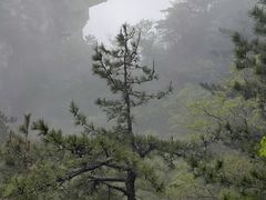 -罗田天堂寨风景区