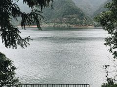 -千岛湖东南湖区