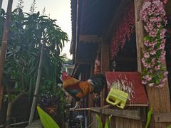 -曼丢傣家古寨