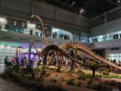 -自贡恐龙博物馆