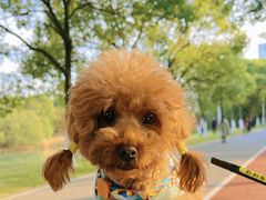 -艾溪湖湿地公园