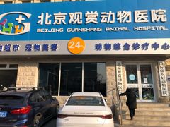 -北京观赏动物医院·24小时大型综合·猫专科·异宠专科