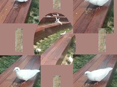 -音乐台