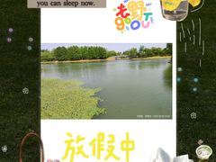 -尚贤河湿地