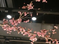 -呷哺呷哺 黄金牧场 (回龙观港龙店)
