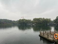 -百脉泉景区