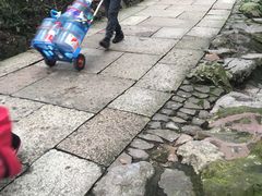 -虎跑公园