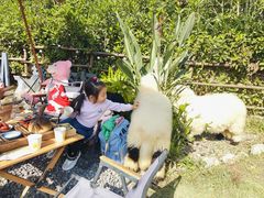 -HERRE·FARM 赫尔露营农场·团建聚会包场