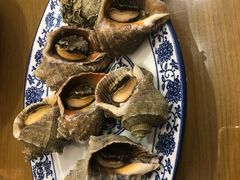 海螺-小城故事(鲅鱼圈店)