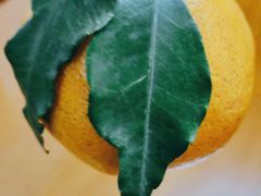 -鲜丰水果(高刘路店)