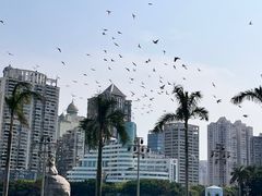 -白鹭洲公园