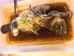清蒸石斑鱼-凤城礼记鱼翅海鲜酒家(百老汇店)