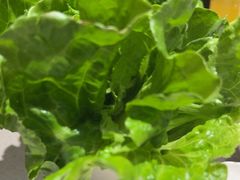 -海底捞火锅(正大乐城店)