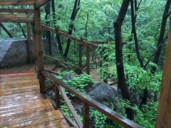 -大岭沟猕猴桃谷风景区