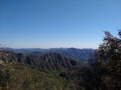 -大岭沟猕猴桃谷风景区
