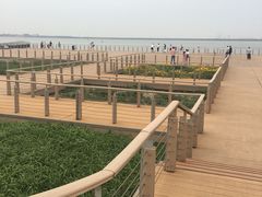 -东疆建设开发纪念公园