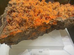 -湖南省地质博物馆