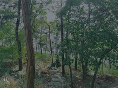 -燕窝岭