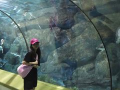 -福州罗源湾海洋世界旅游区