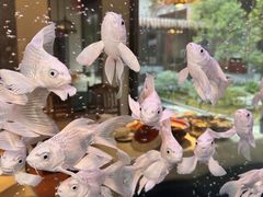 -食锦记·福建私房菜(浦西万达店)