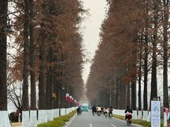 -东湖落雁景区