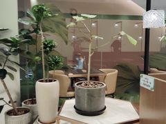 -THE WOODS 简餐 (国贸商城店)