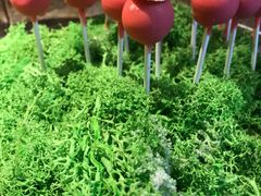 -嘉定凯悦·咖啡厅