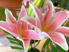 -南堂馆·新川菜(春熙路店)