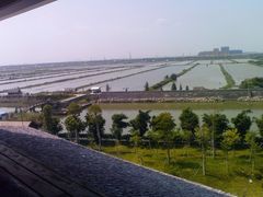 -大湾区中央湿地公园