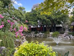 -墨池公园