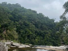 -海南热带雨林国家公园吊罗山景区