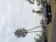 -东寨港红树林旅游区