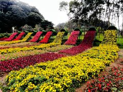 -广州市石门国家森林公园