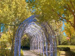 -南宫五洲植物乐园