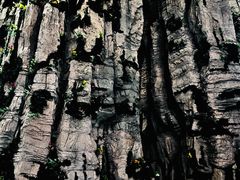 -房山世界地质公园博物馆