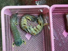-班赞海鲜市场