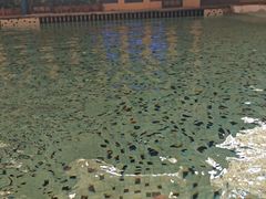 -水之梦(黄浦店)