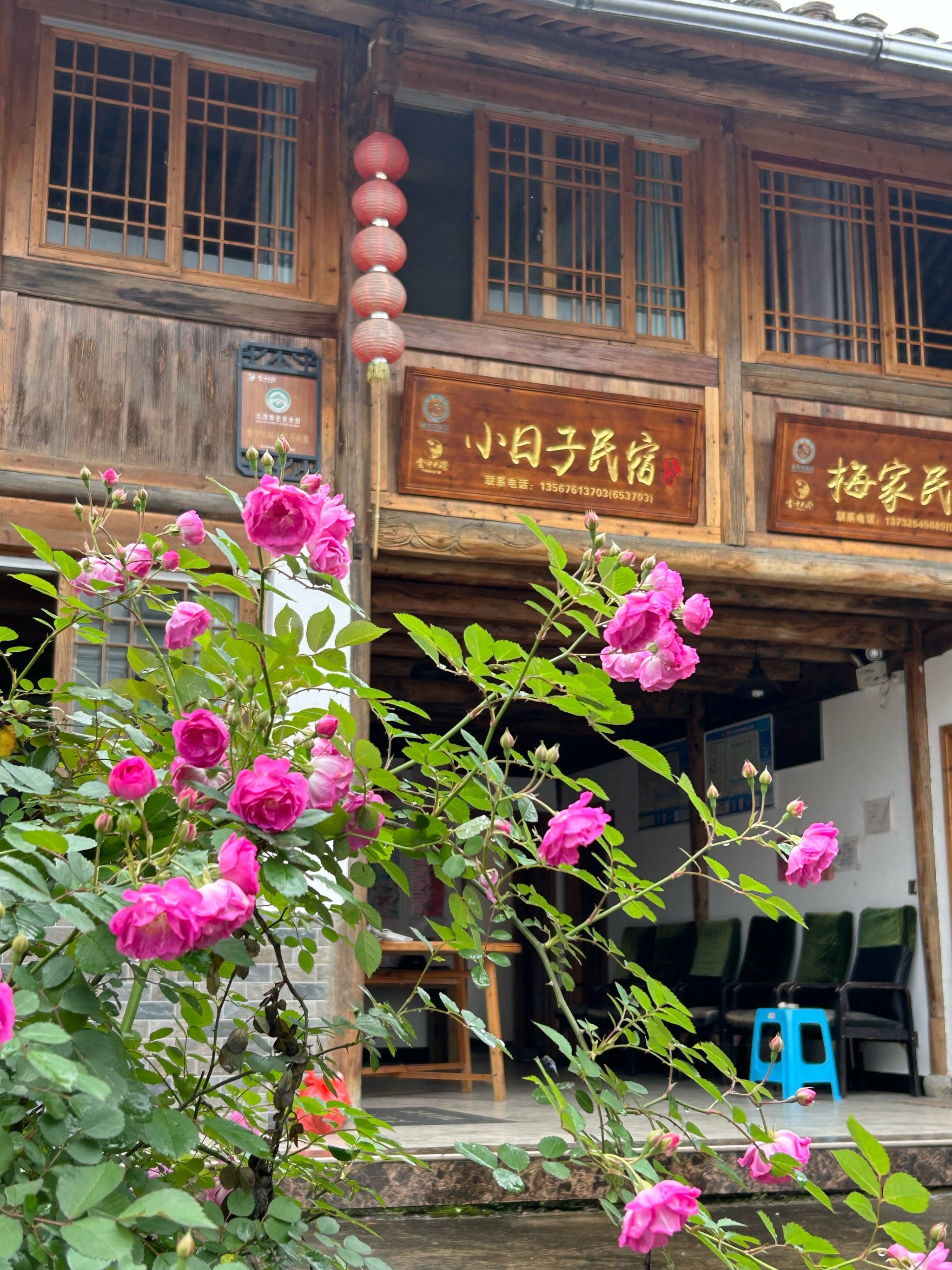 丽水旅游住宿丨景宁畲族自治县