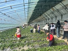 -青岛鑫江温德姆酒店