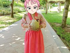 -三亚亚龙湾天域度假酒店