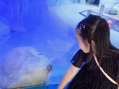 -海合安成都极地海洋公园