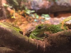 -正佳雨林生态植物园