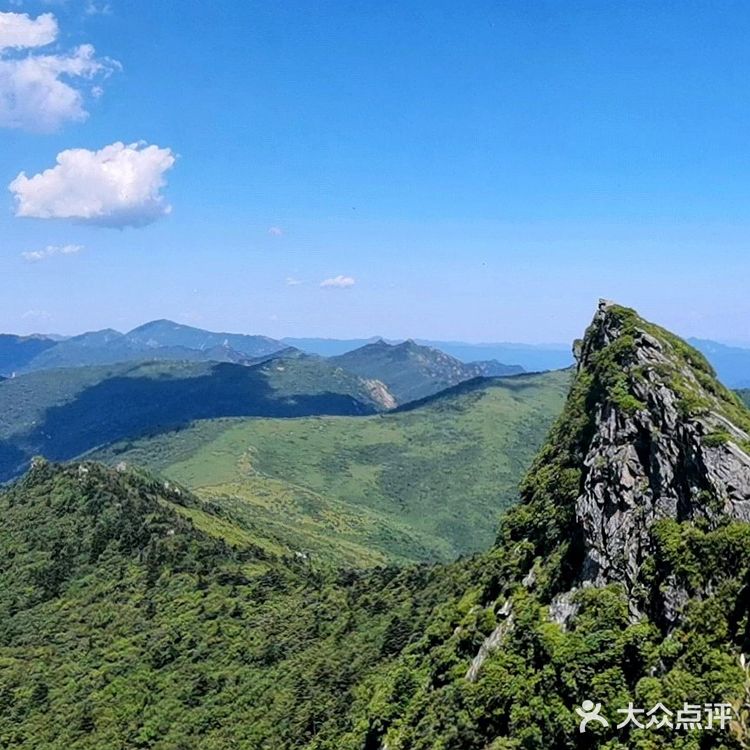 秦岭七十二峪｜分水岭高山草甸
