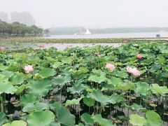 -暨阳湖生态园
