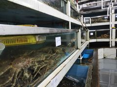 -新农都水产市场