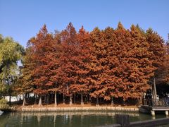 -石湖景区