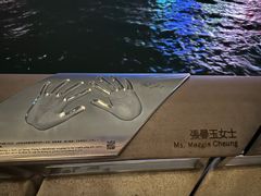 -星光大道