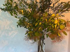 -巴巴新生活·四合院会议·疗愈团建.品牌活动