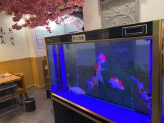 -小渝公重庆卤味火锅(临沂店)