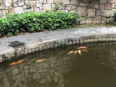 -燕晗山郊野公园